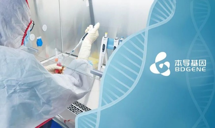 本导基因持股公司锋寻生物完成近6000万融资，加速体内CAR-T临床转化